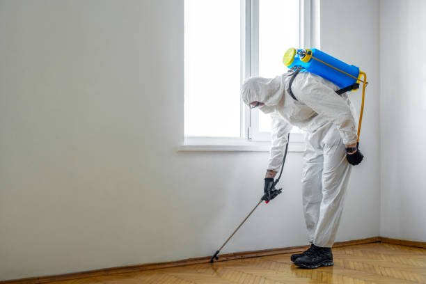 Pest Control for Warehouses in Hillside, IL